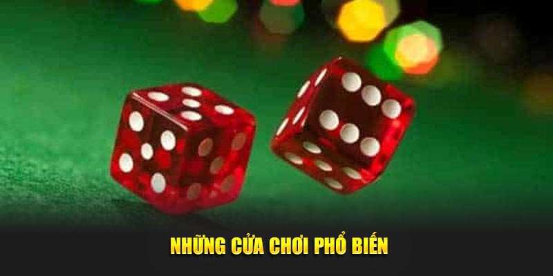 Những cửa chơi phổ biến