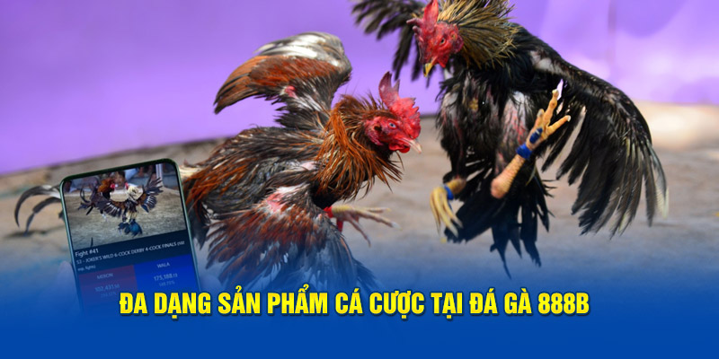 Đa dạng sản phẩm cá cược tại đá gà 888B