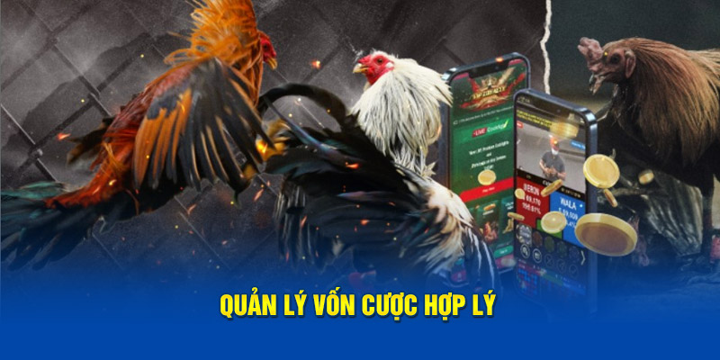 Quản lý vốn cược hợp lý