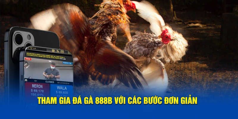 Tham gia đá gà 888B với các bước đơn giản