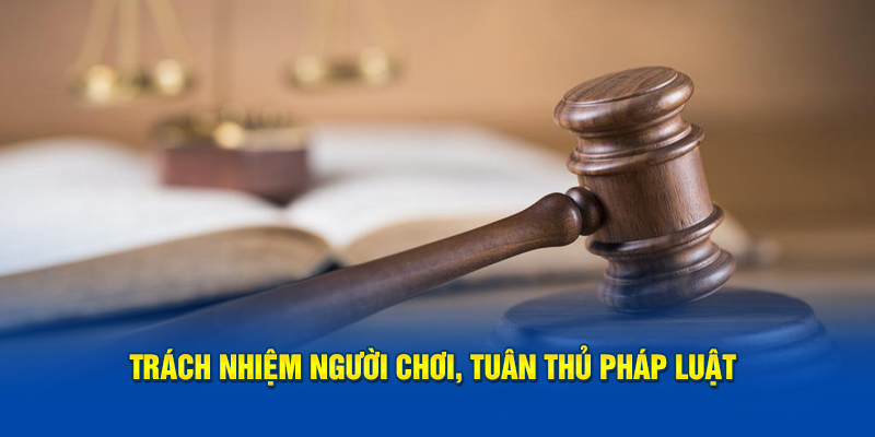 Trách nhiệm người chơi, tuân thủ pháp luật